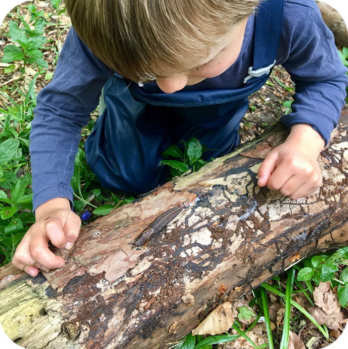 Boy looking at slug