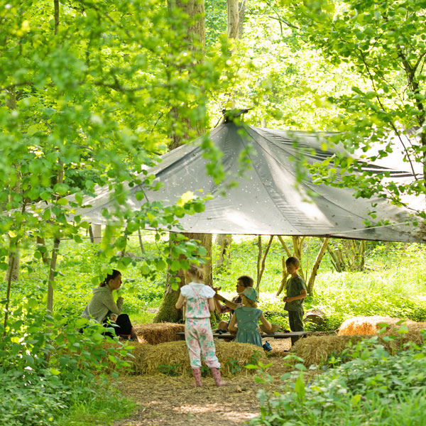 Shelter in the woods